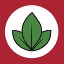 Alianza Electoral Venceremos